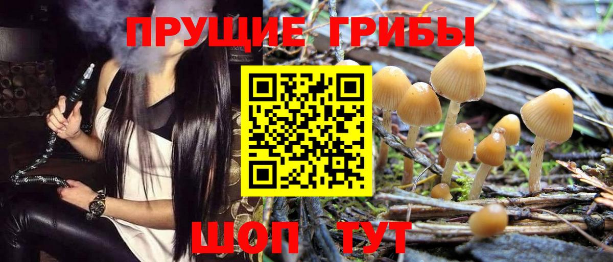 наркота  Вход с VPN  Лянтор  Псилоцибиновые грибы Psilocybine cubensis 