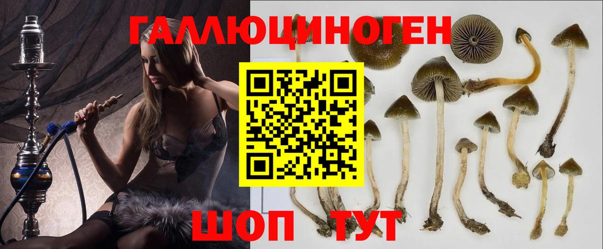 Псилоцибиновые грибы Cubensis Лянтор